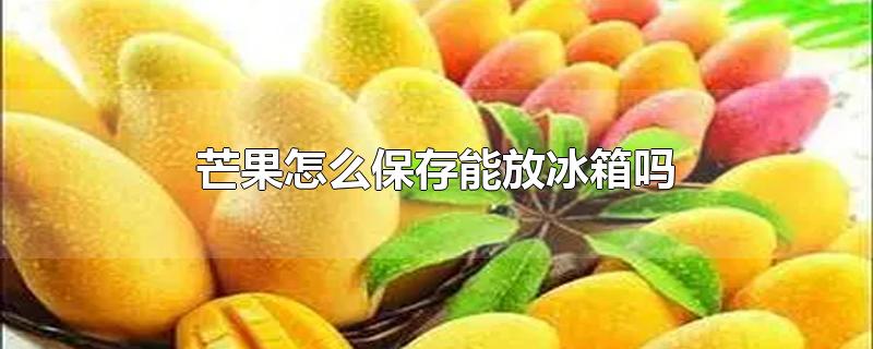 芒果怎么保存能放冰箱吗-最新芒果怎么保存能放冰箱吗整理解答