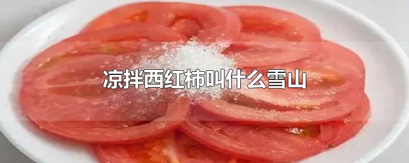 凉拌西红柿叫什么雪山-最新凉拌西红柿叫什么雪山整理解答