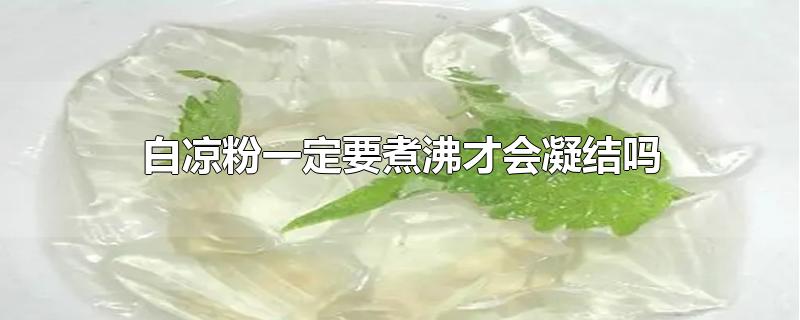 白凉粉一定要煮沸才会凝结吗-最新白凉粉一定要煮沸才会凝结吗整理解答