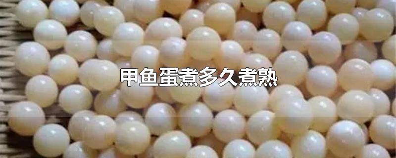 甲鱼蛋煮多久煮熟-最新甲鱼蛋煮多久煮熟整理解答