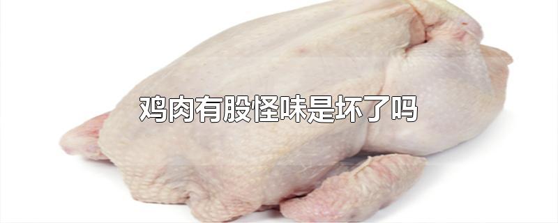 鸡肉有股怪味是坏了吗-最新鸡肉有股怪味是坏了吗整理解答