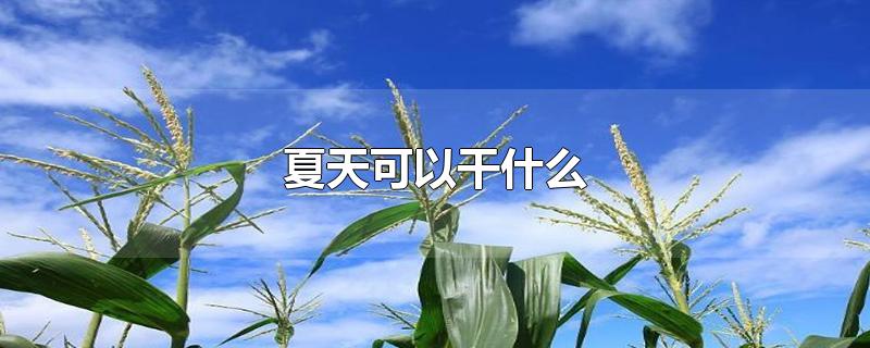 夏天可以干什么-最新夏天可以干什么整理解答