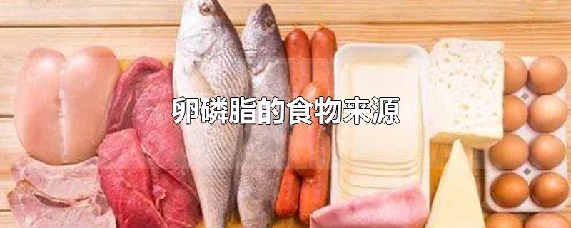 卵磷脂的食物来源-最新卵磷脂的食物来源整理解答