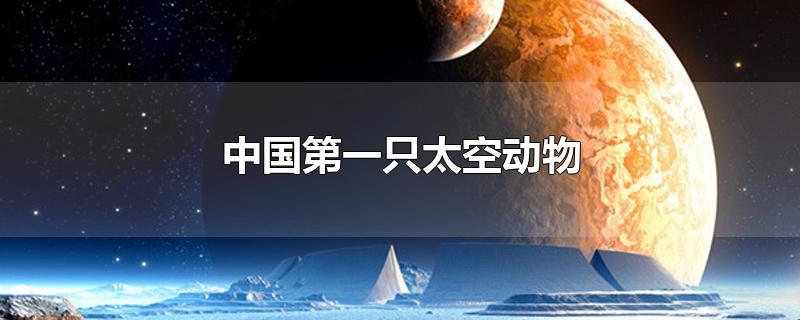 中国第一只太空动物-最新中国第一只太空动物整理解答