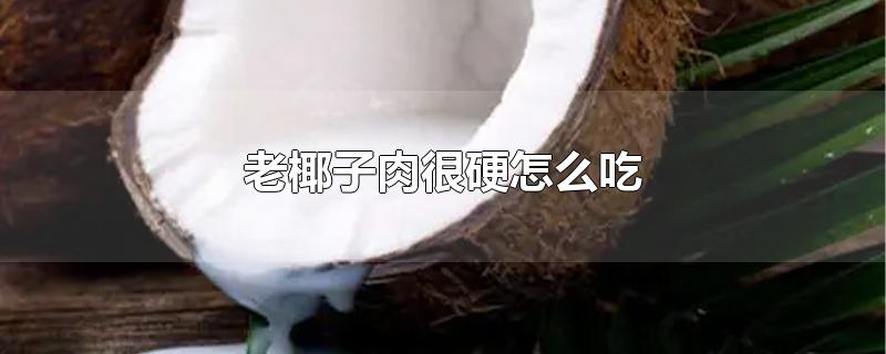 老椰子肉很硬怎么吃-最新老椰子肉很硬怎么吃整理解答