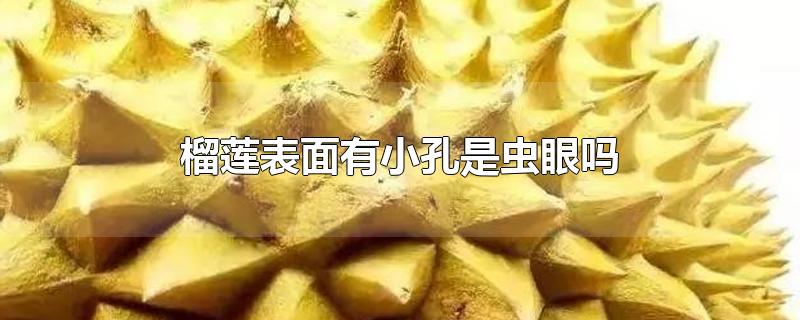 榴莲表面有小孔是虫眼吗