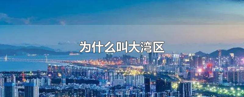 为什么叫大湾区-最新为什么叫大湾区整理解答