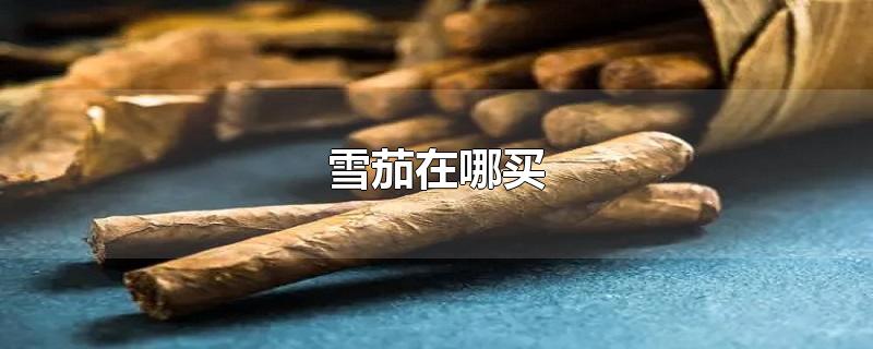 雪茄在哪买-最新雪茄在哪买整理解答