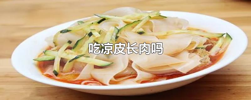 吃凉皮长肉吗-最新吃凉皮长肉吗整理解答