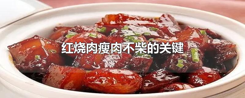 红烧肉瘦肉不柴的关键-最新红烧肉瘦肉不柴的关键整理解答