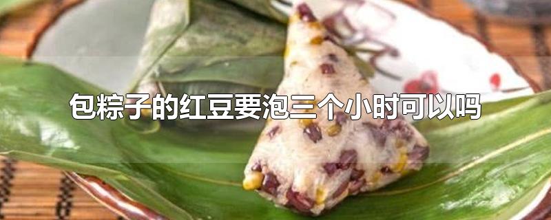 包粽子的红豆要泡三个小时可以吗-最新包粽子的红豆要泡三个小时可以吗整理解答