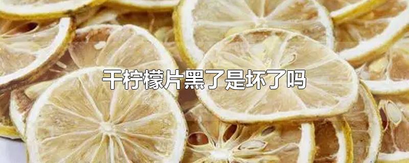 干柠檬片黑了是坏了吗-最新干柠檬片黑了是坏了吗整理解答