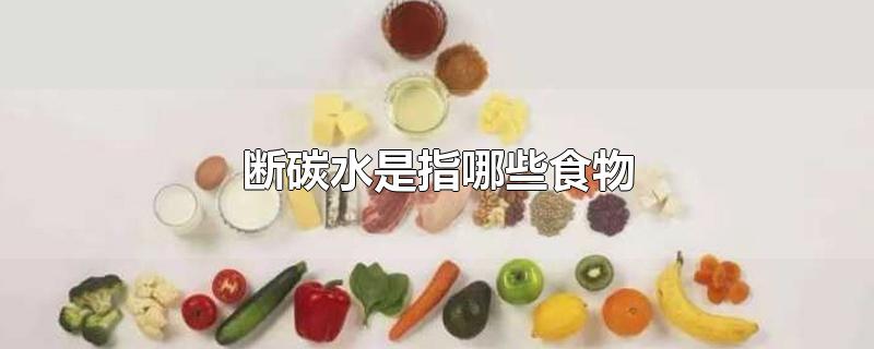 断碳水是指哪些食物-最新断碳水是指哪些食物整理解答