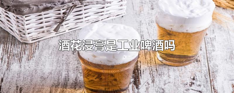 酒花浸膏是工业啤酒吗