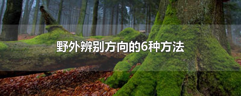 野外辨别方向的6种方法-最新野外辨别方向的6种方法整理解答