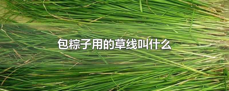 包粽子用的草线叫什么-最新包粽子用的草线叫什么整理解答