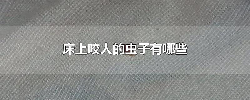 床上咬人的虫子有哪些-最新床上咬人的虫子有哪些整理解答