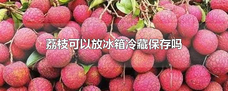 荔枝可以放冰箱冷藏保存吗-最新荔枝可以放冰箱冷藏保存吗整理解答