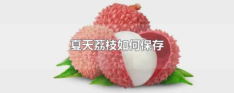 夏天荔枝如何保存