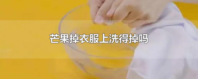 芒果掉衣服上洗得掉吗-最新芒果掉衣服上洗得掉吗整理解答