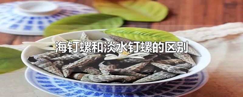 海钉螺和淡水钉螺的区别