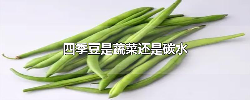 四季豆是蔬菜还是碳水-最新四季豆是蔬菜还是碳水整理解答