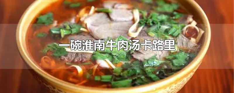 一碗淮南牛肉汤卡路里-最新一碗淮南牛肉汤卡路里整理解答