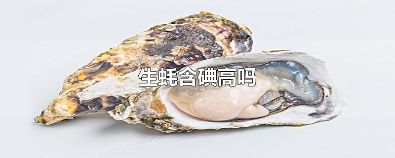 生蚝含碘高吗