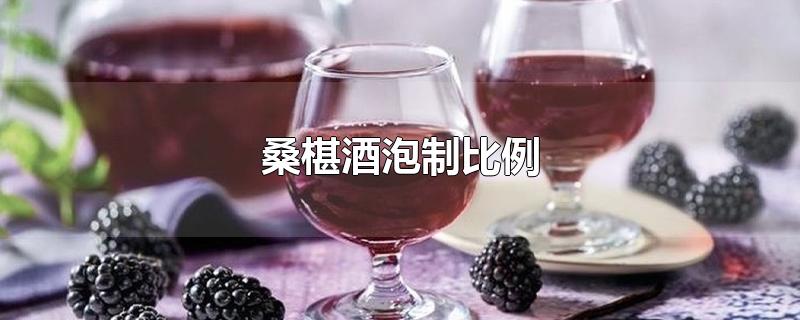 桑椹酒泡制比例