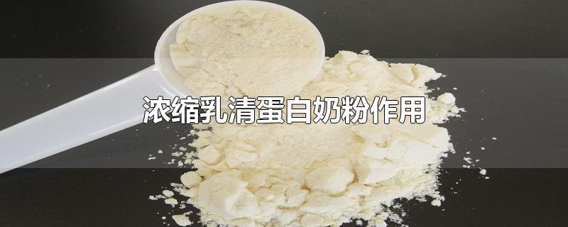 浓缩乳清蛋白奶粉作用-最新浓缩乳清蛋白奶粉作用整理解答