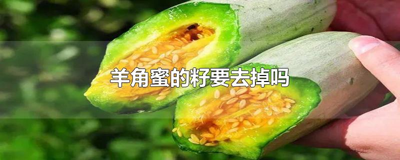 羊角蜜的籽要去掉吗-最新羊角蜜的籽要去掉吗整理解答