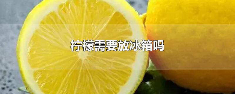 柠檬需要放冰箱吗-最新柠檬需要放冰箱吗整理解答