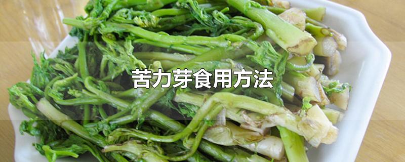 苦力芽食用方法-最新苦力芽食用方法整理解答