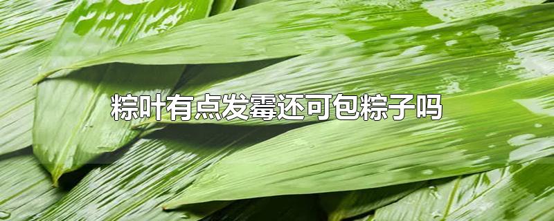 粽叶有点发霉还可包粽子吗-最新粽叶有点发霉还可包粽子吗整理解答