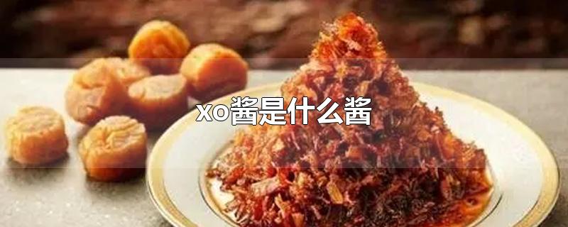 xo酱是什么酱