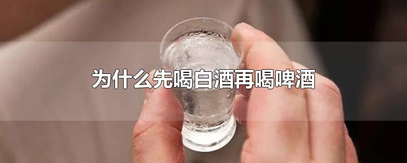 为什么先喝白酒再喝啤酒-最新为什么先喝白酒再喝啤酒整理解答