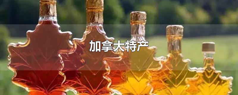 加拿大特产-最新加拿大特产整理解答