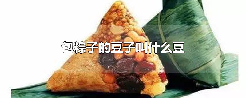 包粽子的豆子叫什么豆