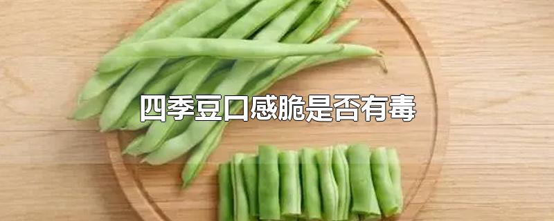 四季豆口感脆是否有毒-最新四季豆口感脆是否有毒整理解答