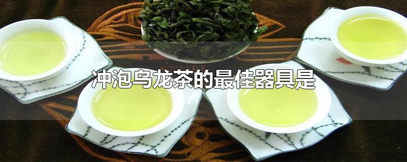 冲泡乌龙茶的最佳器具是-最新冲泡乌龙茶的最佳器具是整理解答