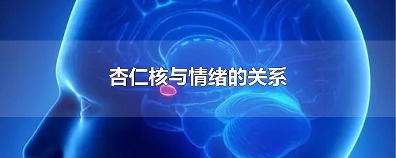 杏仁核与情绪的关系-最新杏仁核与情绪的关系整理解答