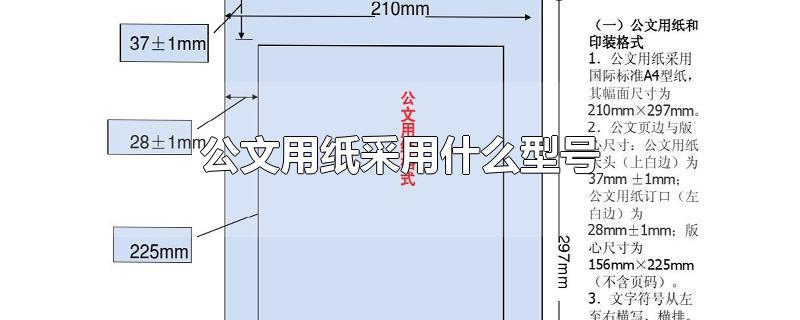 公文用纸采用什么型号