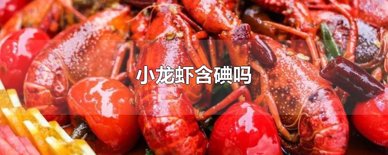 小龙虾含碘吗-最新小龙虾含碘吗整理解答