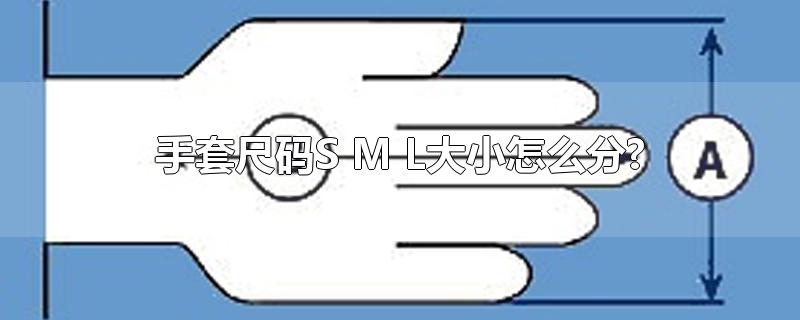 手套尺码S M L大小怎么分?