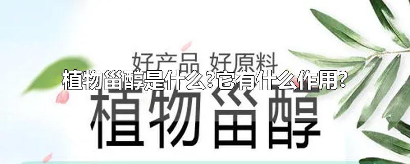 植物甾醇是什么?它有什么作用?-最新植物甾醇是什么?它有什么作用?整理解答