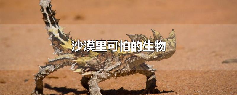 沙漠里可怕的生物-最新沙漠里可怕的生物整理解答