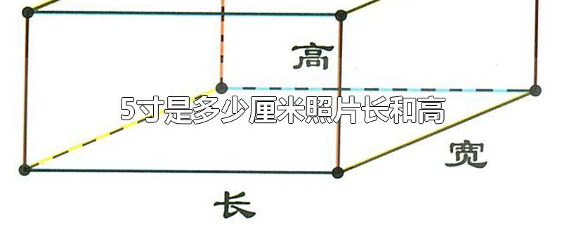 5寸是多少厘米照片长和高-最新5寸是多少厘米照片长和高整理解答