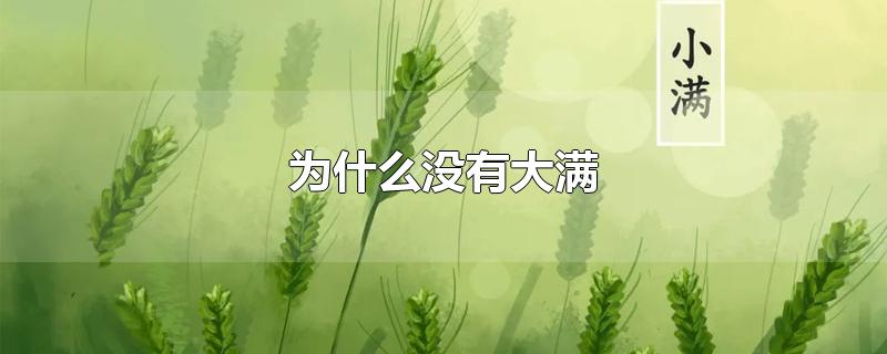 为什么没有大满