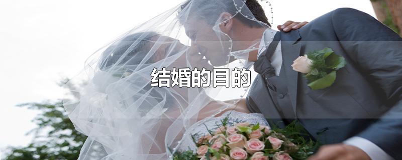 结婚的目的-最新结婚的目的整理解答