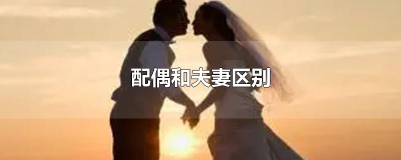 配偶和夫妻区别-最新配偶和夫妻区别整理解答